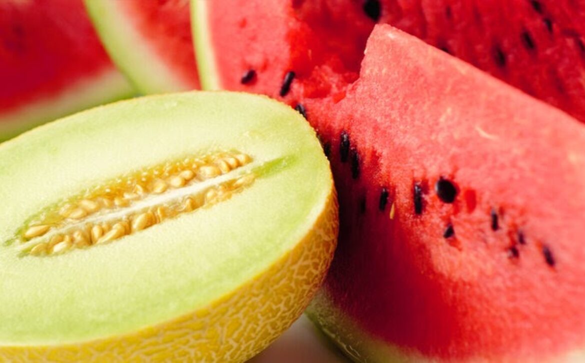 Cantaloupe and watermelons slices