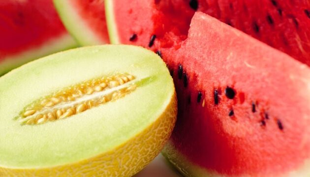 Cantaloupe and watermelons slices